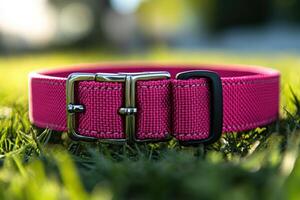 A pink dog collar with a black buckle on the grass photo