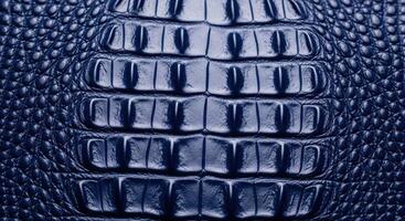 Deep blue glossy crocodile skin texture close up for luxury background photo