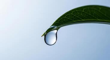 Close up of a crystal clear water droplet hanging from a vibrant green leaf. photo