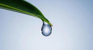 Crystal clear water droplet hanging from a vibrant green leaf symbolizing purity and nature. photo