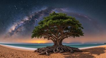 Majestic tree with exposed roots on a sandy beach under a stunning milky way night sky photo