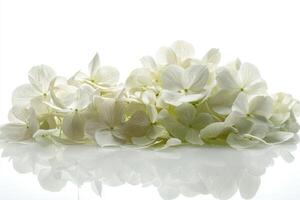 Beautiful white flower blooms and delicate reflections on a smooth surface photo
