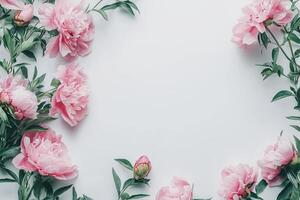 Beautiful pink peony flowers and green leaves arranged in a frame photo