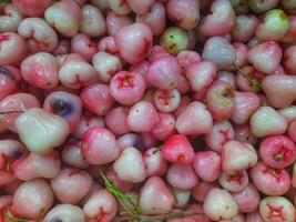 Fresh pink and white water apples with glossy skin, offering a juicy, crisp texture and mildly sweet flavor, perfect for tropical snacks and desserts. photo