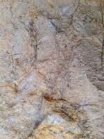 Rough stone texture with natural grey, white, and rusty brown patterns, ideal for backgrounds, design materials photo