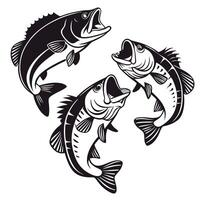 Three jumping bass fish illustration in black and white for fishing designs vector