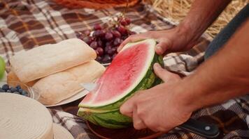 A person slices a juicy watermelon while seated on a picnic blanket. Nearby, fresh bread and grapes add to the outdoor feast. The setting is warm and inviting, perfect for enjoying nature. video