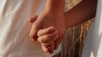 Couple hold each other's hands, standing in a vast field of tall golden grass during sunset. The warm light enhances the intimate connection between them. video