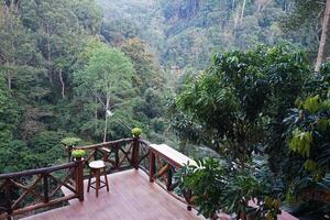 Wooden balcony terrace architecture and building design of Local treehouse among green jungle park photo