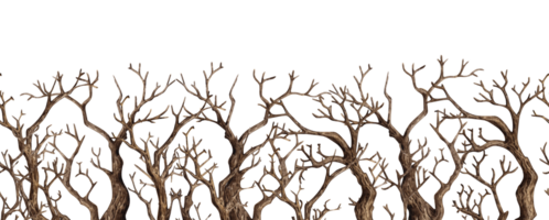 Tree without leaves, with dry bare branches watercolor illustration. Gothic autumn decoration of branches for Halloween. Countryside isolated from background. For seasonal design border, png