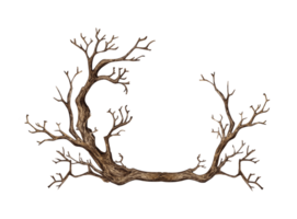 Tree without leaves, with dry bare branches watercolor illustration. Gothic autumn decoration branches for Halloween. Countryside isolated from background. For seasonal design border, framing, frame png