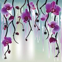 Purple orchids hanging with vines vector