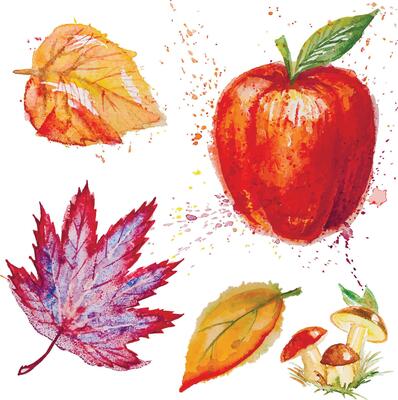 Set of hand drawn watercolor autumn leaves, mushrooms and apple,isolated on the white background