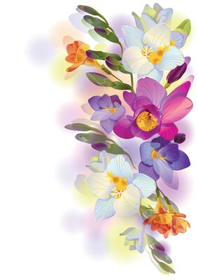Greeting background invitation with pictorial freesia flowers