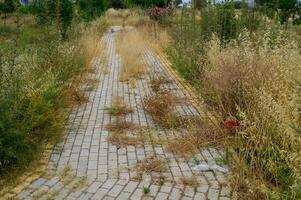 Overgrown Sidewalk Tiles and Pedestrian Path in Cyprus photo