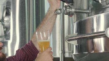 Close-up of brewer checking beer transparency in production hall video