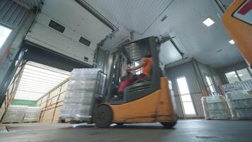 Worker driving forklift with packed goods in brightly lit distribution center. video