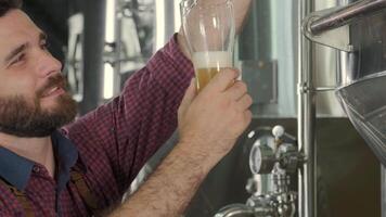 Brewer observing hazy beer in glass during quality control process video