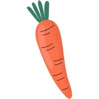 Flat style illustration of a fresh orange carrot with green leaves. Ideal for food graphics, healthy eating projects and vegetarian concepts. vector