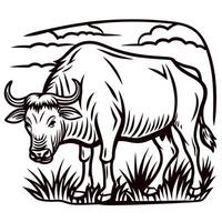 Vintage engraved illustration of a buffalo grazing in a field with clouds and grass on a white background vector