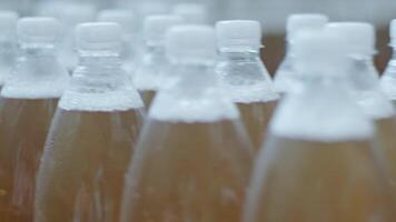 PET bottles processed for packaging stage video