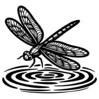 Intricate dragonfly illustration with detailed wings perched by water and reflected ripples vector
