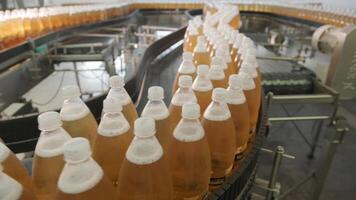 Bottles of drink aligned on high-speed conveyor under factory lighting. video