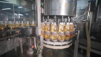 Automatic bottling machine filling containers video