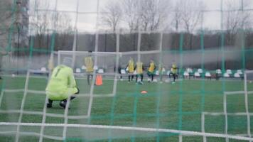 A children's football team trains at the stadium under the guidance of a coach. Kids in sports uniforms practice ball exercises, improve technique, and develop teamwork on the green field 37 video
