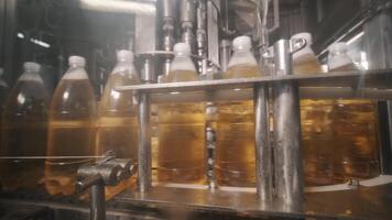 Empty bottles before filling process video