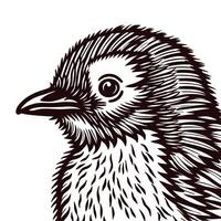 Detailed hand drawn black and white bird portrait with intricate feather patterns and expressive eye illustration vector