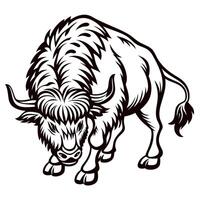 Strong charging wild bison drawing in vintage engraved isolated on white background vector