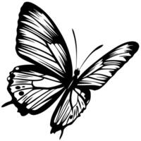 Detailed black and white butterfly illustration with open wings and intricate vein patterns isolated on white background vector
