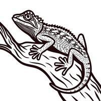 Ink drawing of chameleon lizard perched on tree branch with detailed texture and linework illustration vector
