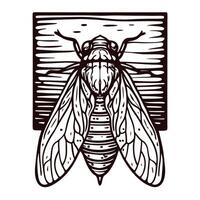Detailed vintage illustration of cicada insect with outstretched wings over textured background in bold black lines vector