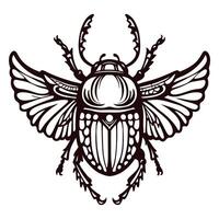 Detailed ink drawing of a scarab beetle with open wings isolated on white background vector