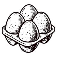 Hand drawn illustration of four eggs in carton vintage engraved sketch isolated on white background vector
