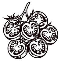 Hand drawn cluster of sliced cherry tomatoes with stems vintage engraved botanical illustration vector
