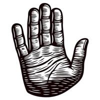 Engraved vintage illustration of open human palm isolated on white background detailed hand sketch vector