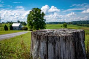 Tree stump in a field with a house and trees in the background under a cloudy blue sky on a sunny day photo