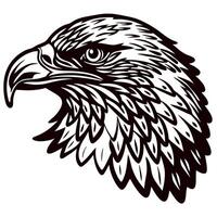 Detailed hand drawn eagle head illustration with bold lines and intricate feather pattern isolated on white vector