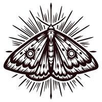 Detailed monochrome illustration of a moth with decorative wings surrounded by radiant lines in vintage tattoo vector