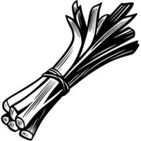 Hand drawn bundle of leeks in black and white engraved illustration vector