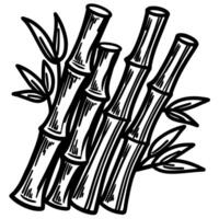 Hand drawn illustration of sugarcane stalks with leaves isolated on white background in vintage sketch vector