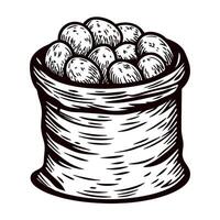 Hand drawn sack filled with potatoes vintage engraving illustration of potato bag isolated on white background vector