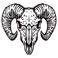 Hand drawn ram skull with curved horns isolated on white background vintage engraved illustration vector
