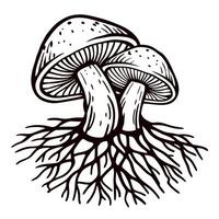 Hand drawn illustration of two wild mushrooms with visible roots isolated on white background vector