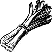 Hand drawn bundle of leeks tied together in vintage sketch on white background vector
