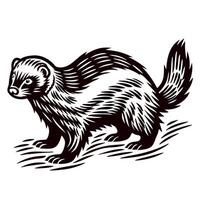 Engraved wild ferret illustration with bold fur lines and textured ground in vintage black and white vector