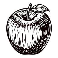 Hand drawn apple with detailed linework and leaf accent vector